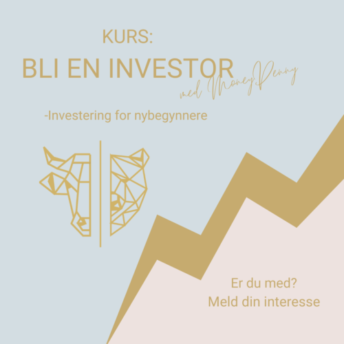 Bli en investor
